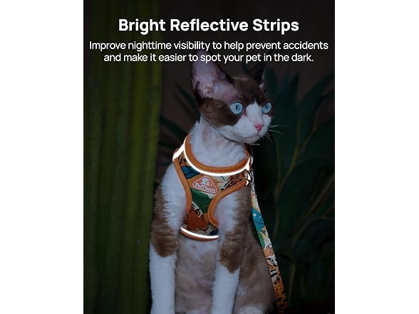PetThem Cat Harness and Leash Set - Gallery 3