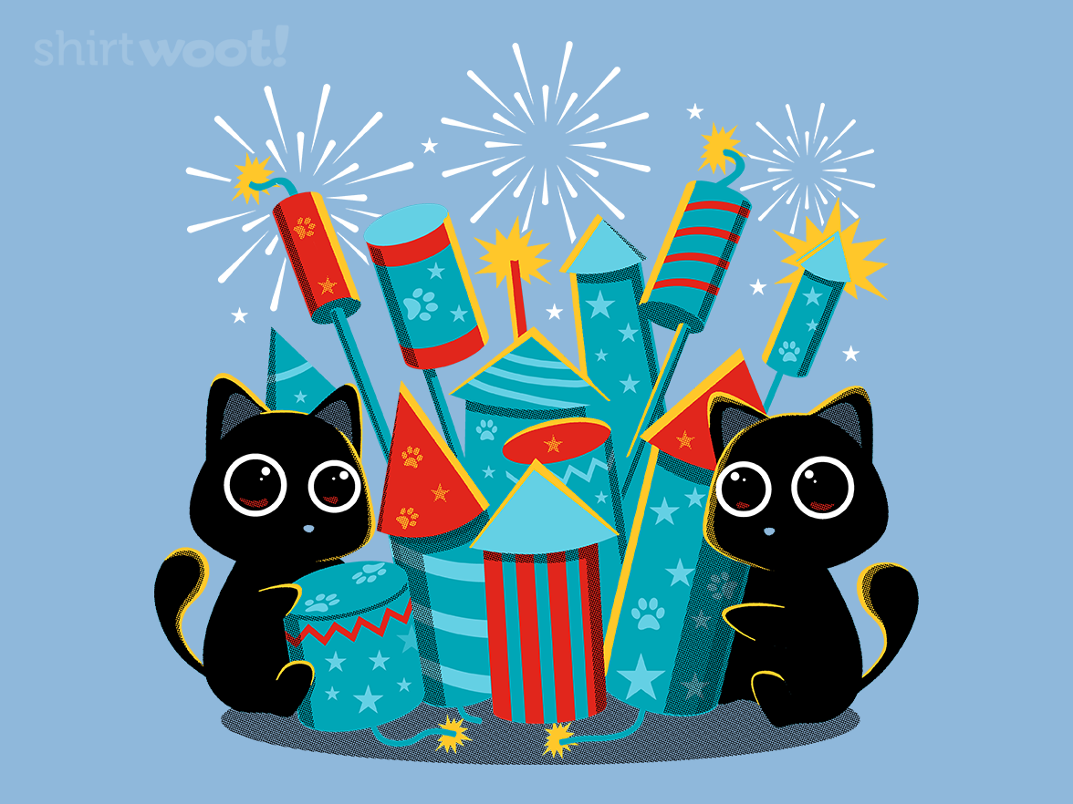 Fireworks Day - Gallery 4