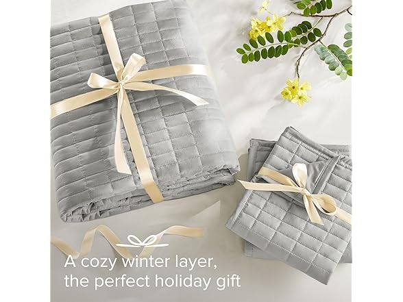 Comfort Spaces Kienna Quilt Set, Full/Queen