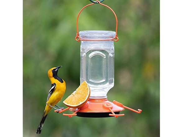 Perky-Pet 9113-2 Top-Fill Glass Oriole Feeder
