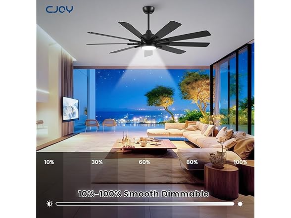 CJOY 62in Ceiling Fan 9-Blade 3CCT