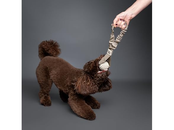 NOAH & PAW Luxury Dog Toy, TPU- Sling, Beige