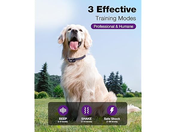 Bousnic B0CWTVJ6XJ Dog Shock Collar