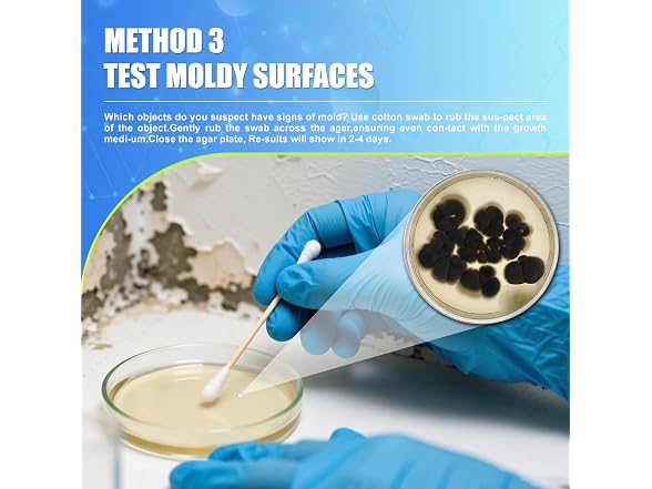 Mold Test Kit for Home,14 Simple