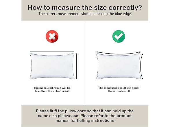 Pillow Insert Set of 2