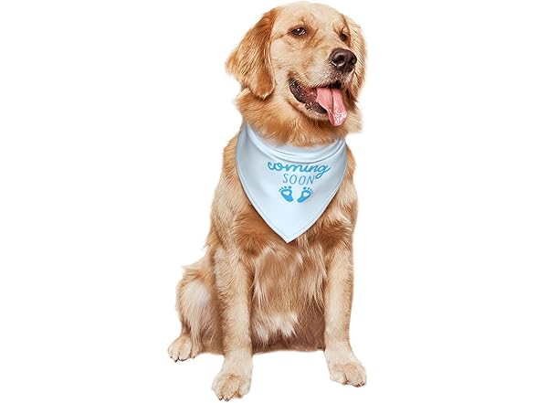 vercosee Coming Soon….Bandana Pregnancy Announcement