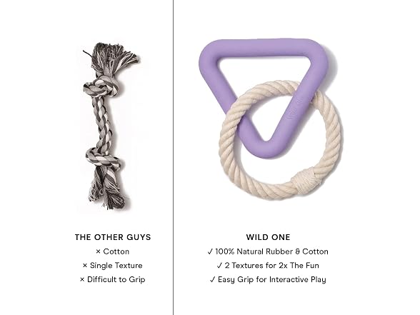 Wild One Triangle Tug Dog Toy for Small Breed