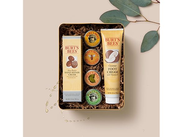 Burt's Bees Gifts Ideas - Classics Set