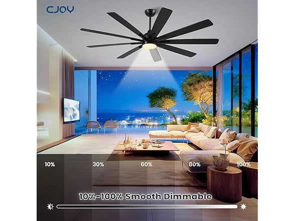 CJOY Ceiling Fan with Light | 72in