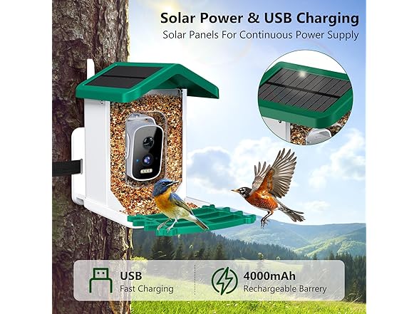 Niuberber Smart Bird Feeder with Camera
