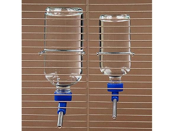 LIXIT Chew Proof Glass Water Bottle 16oz