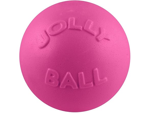 Jolly Pets Bounce-n-Play Dog Toy Ball, 8 In
