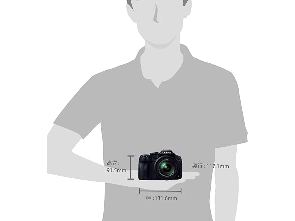 Panasonic LUMIX DMC-FZ300K 12.1
