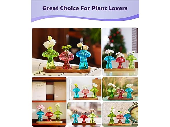 3 Pack Mushroom Glass Propagation Vases
