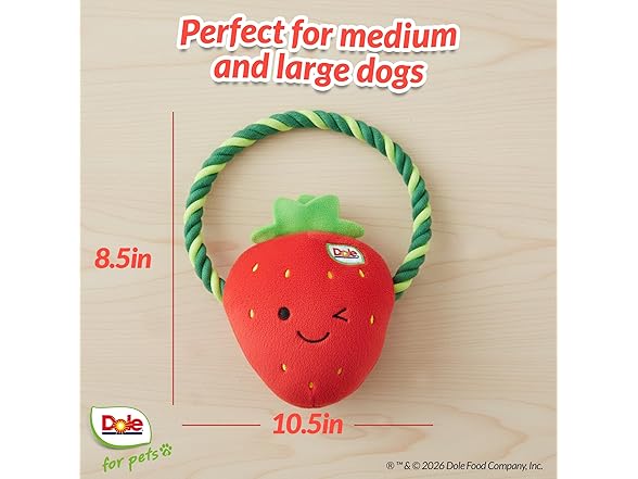 Dole for Pets Dog Rope Toy with Squeakers Strawberry