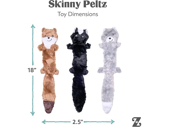 Skinny Peltz Trio - Gallery 5