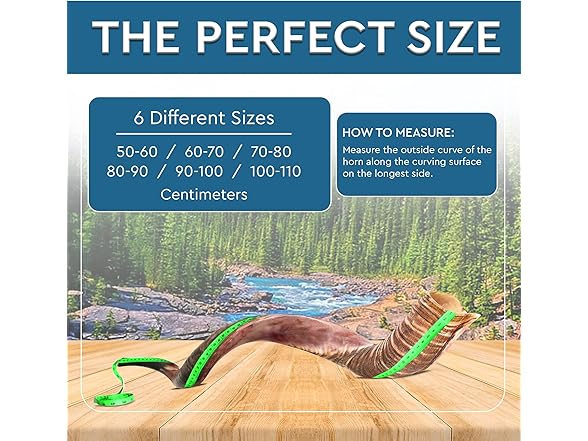 YOMTOV-SHALOM | Kudu Shofar 