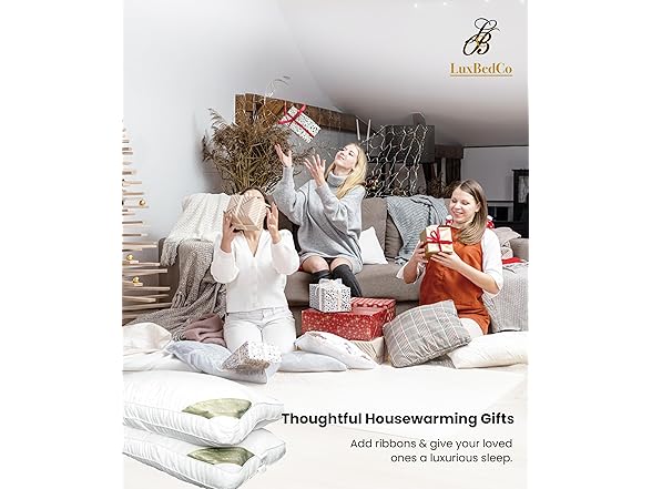 Standard Premium Pillows Set