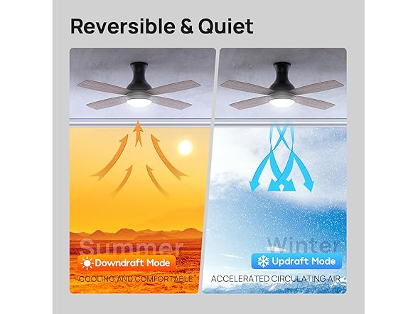 Consciot 52 Inch Ceiling Fan With Lights, Modern Black