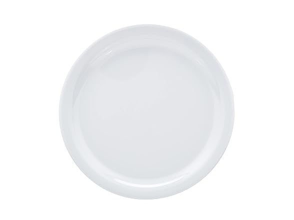 6PC Amazon Basics Melamine (Plastic) Plate, 9 in.