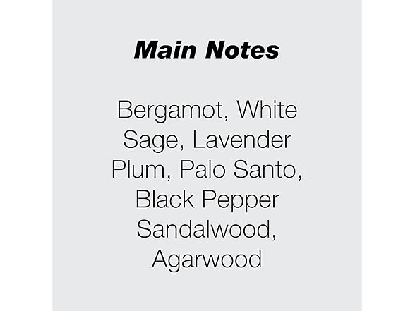 Paragon/Initio Parfums Prives Extrait De Parfum 3.0 Oz