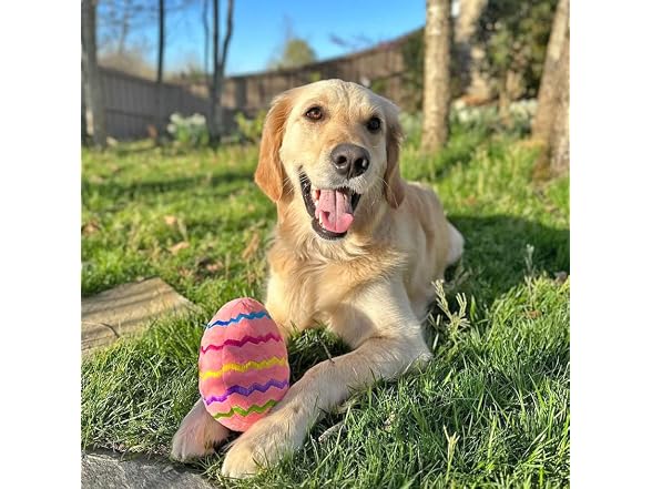 Midlee Easter Egg Plush Dog Toy