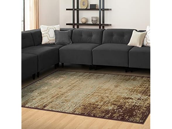 Superior Indoor Area Rug Afton Collection