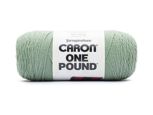 Spinrite Caron One Pound Yarn-Succulent