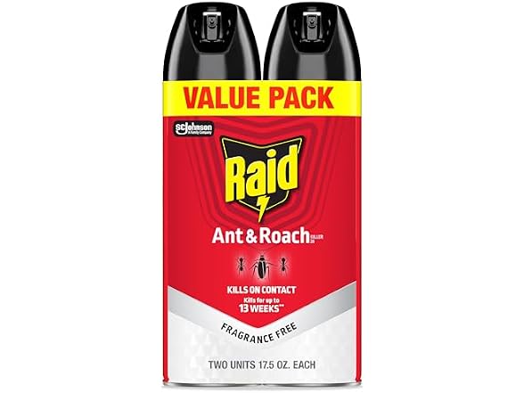 Raid GAR-95 Ant & Roach Killer, 2 Count