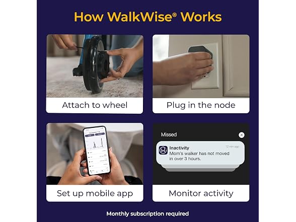 WalkWise by Drive Senior Walker Monitor System