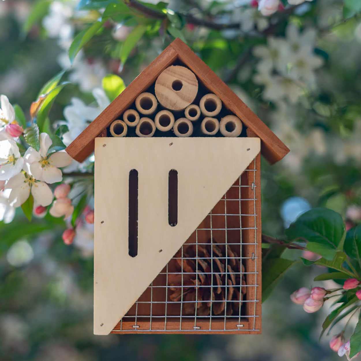 Touch of ECO Pollinating Palace - Gallery 8