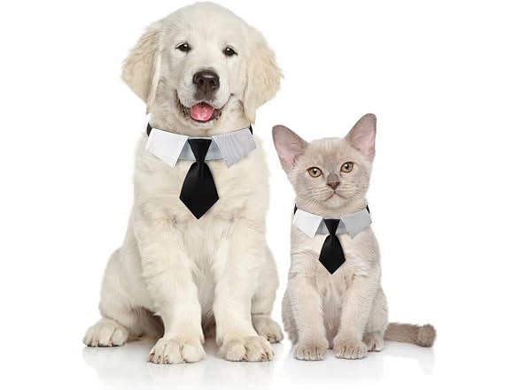 Adjustable Boy Dog Collar,Sturdy Pet Tie for