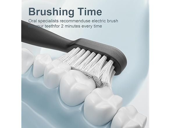 AJELU Sonic Electric Toothbrush