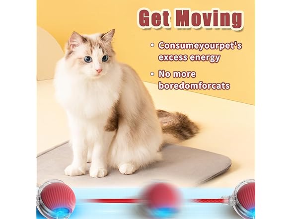 (2 Pack) Interactive Rolling Cat Ball