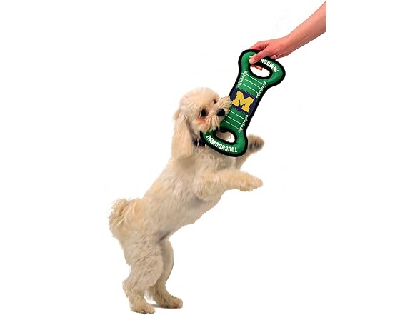 NCAA Football Field Dog Toy with Squeaker Michigan Wolverines