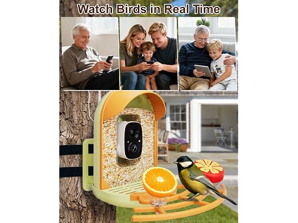 Solar Powered Bird Feeder with Camera
