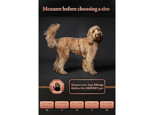 NOAH & PAW Dog Life Jacket- XSmall