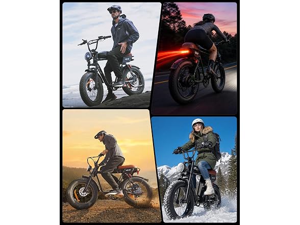 Isinwheel Electric Bike 1500W 20Ah Battery