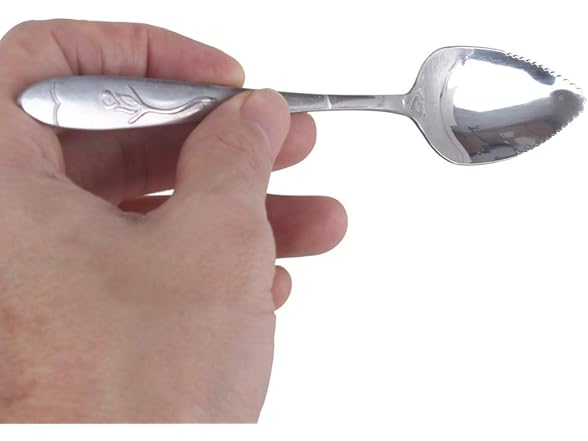 HAZOULEN Grapefruit Spoons, Stainless