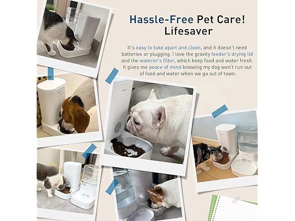 PAWGETHER Gravity 1 Gallon Pet Feeder