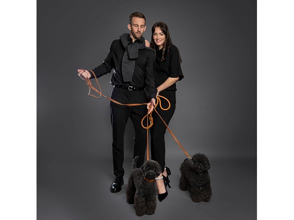 NOAH & PAW Leather Dog Leash