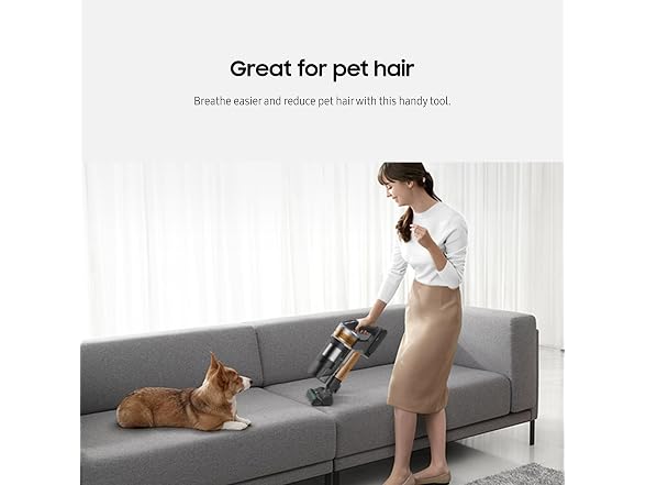 Samsung Bespoke Jet 60 Pet Cordless Vaccuum