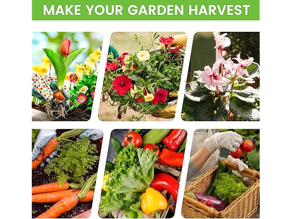 2Pk Raised Garden Bed 2x2x1ft Solar