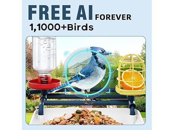 Bird Feeder with Camera