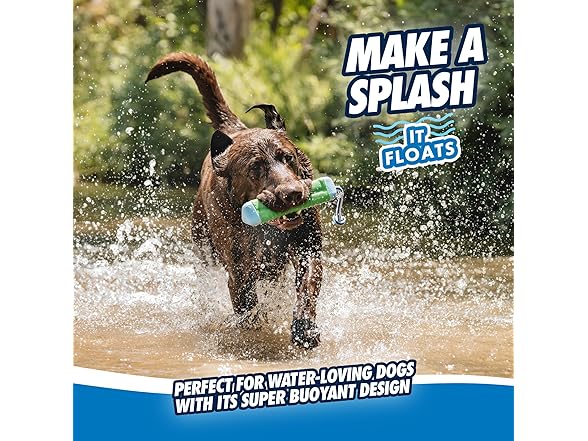 Chuckit! Amphibious Bumper Fetch Stick