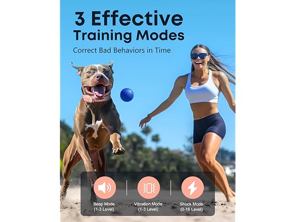 Jugbow Dog Shock Collar with Remote