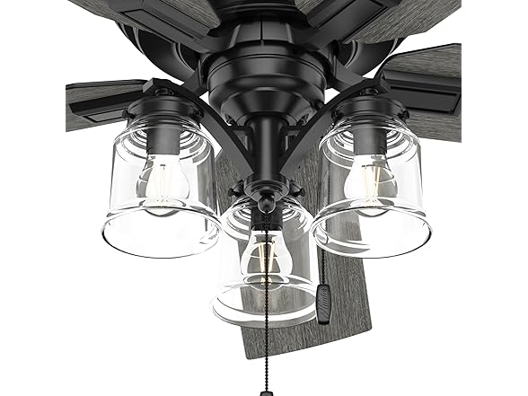 Hunter Fan 54-inch w/ Light and Pull Chain, Refurbished