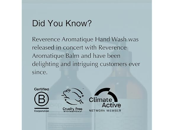 Aesop Reverence Exfoliating Hand Wash 500ml