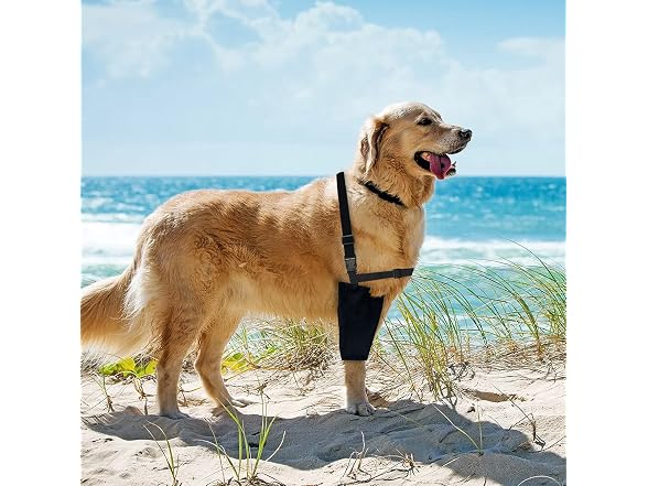Dog Elbow Protector,Dog Elbow Brace Protecto