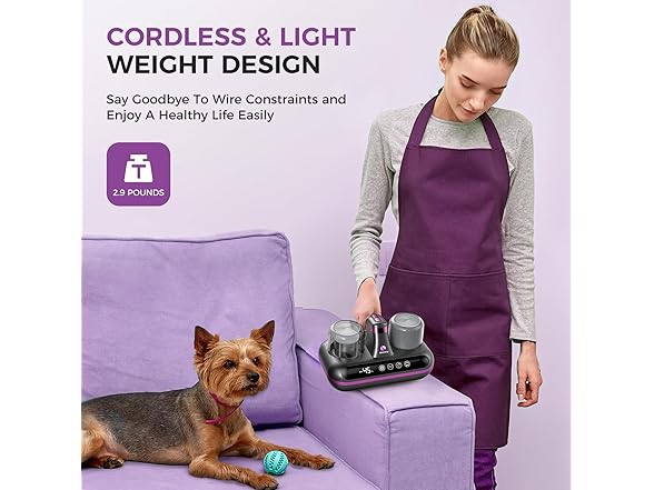 Amzany Bed Vacuum Cleaner Grey